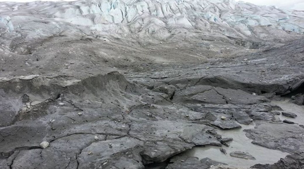 I took a hovercraft tour to the Taku Glacier near Juneau! The runoff from the glacier means a hovercraft is the only way to get this close. Check out Allen Marine Tours for more information......It looks like the moon!