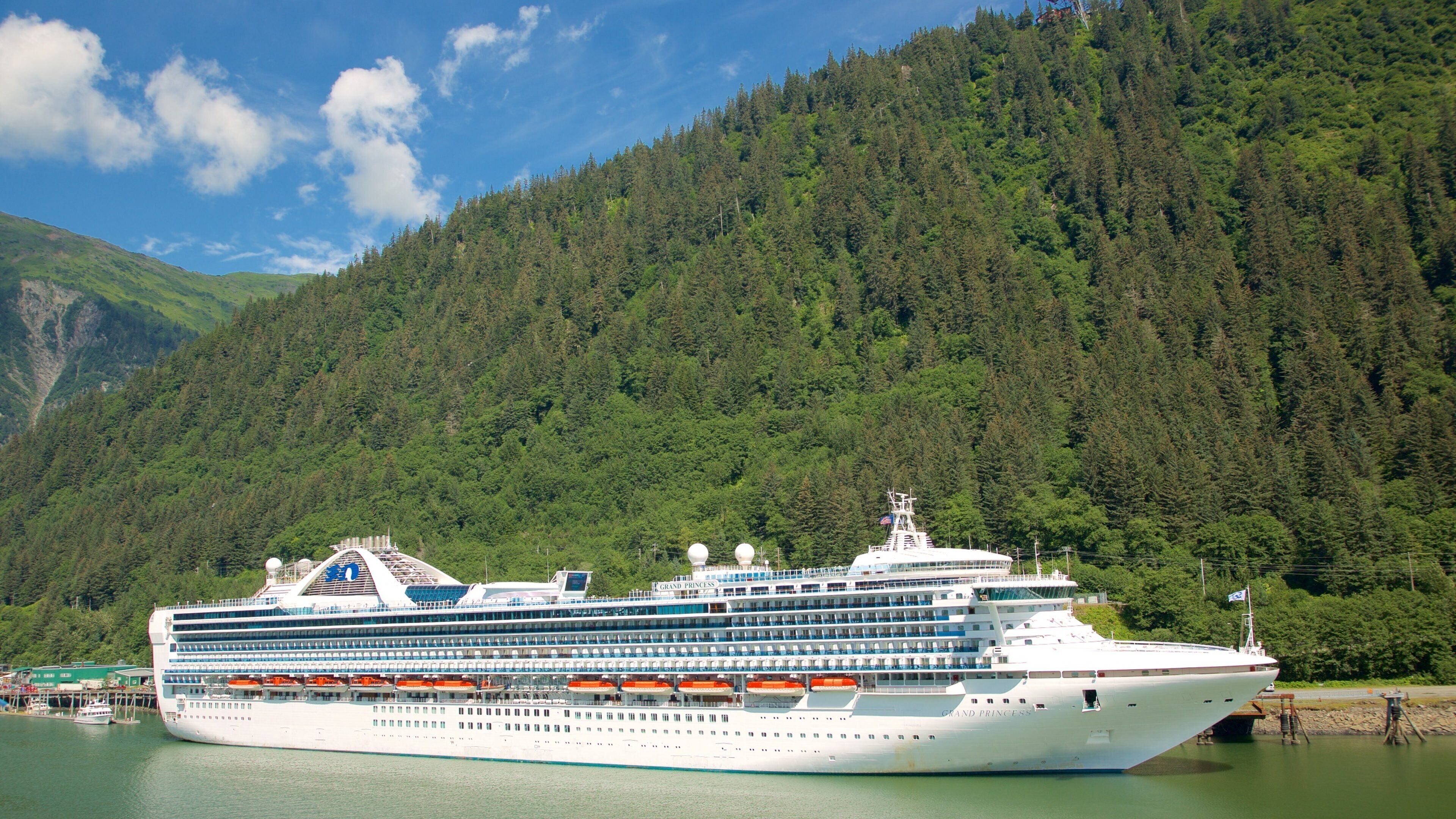 A large cruise ship named Grand Princess docked at a port with a forested mountain in the background.