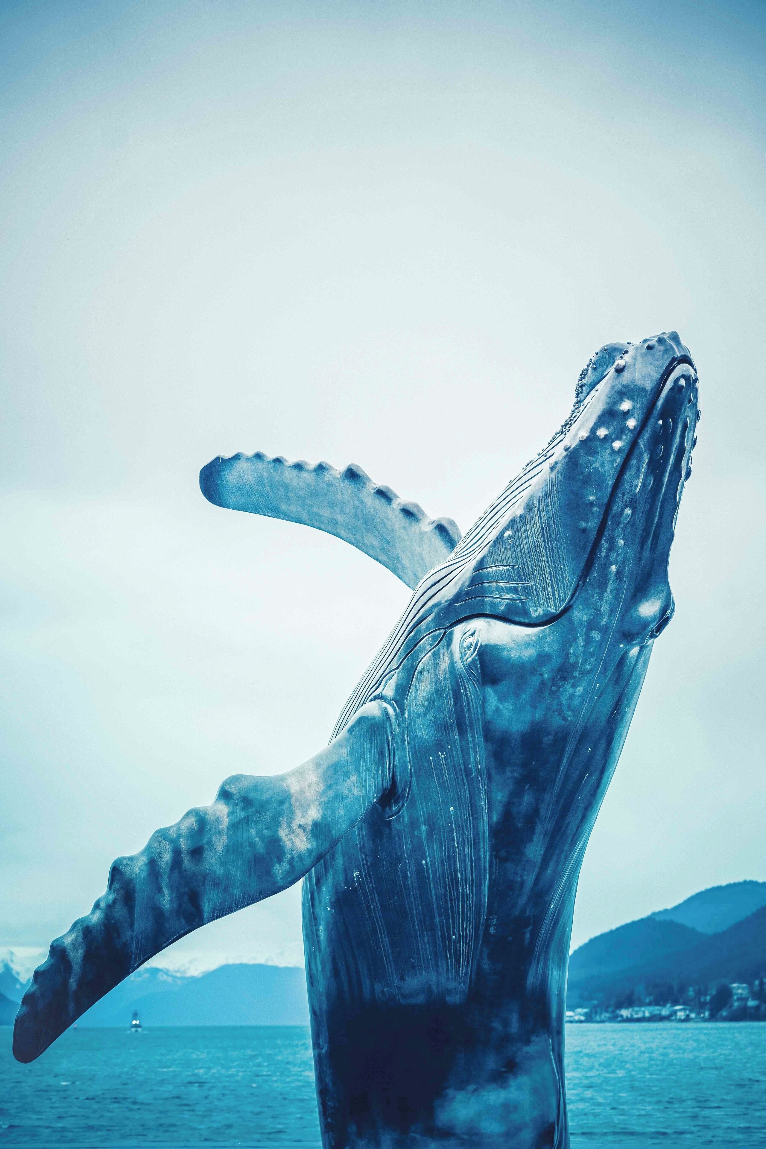 Amazing art piece... life size humpback whale in Downtown Juneau