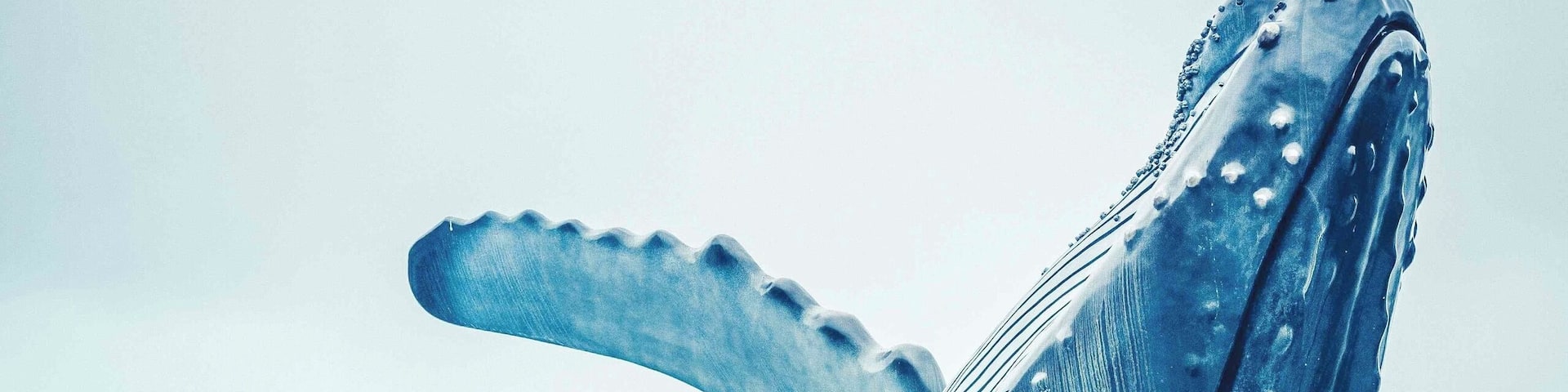 Amazing art piece... life size humpback whale in Downtown Juneau