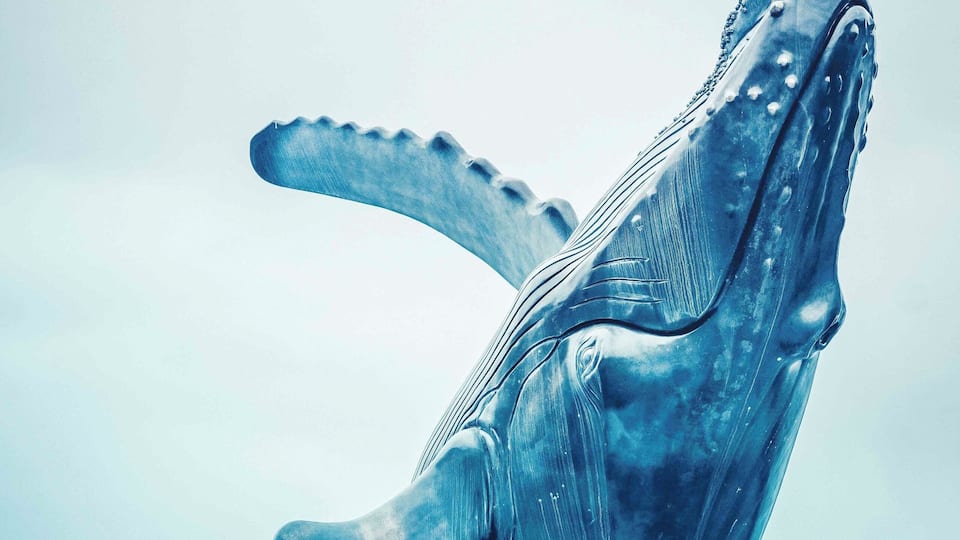 Amazing art piece... life size humpback whale in Downtown Juneau