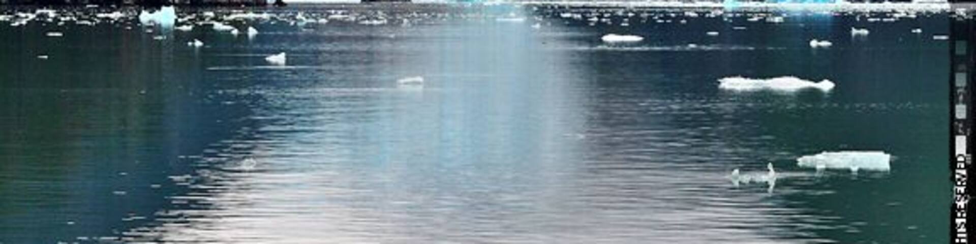 A glacier with icebergs in a fjord surrounded by mountains.