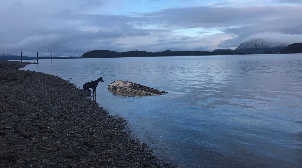 Days with the clouds