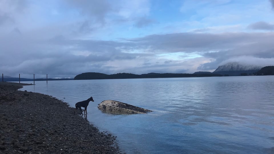 Days with the clouds