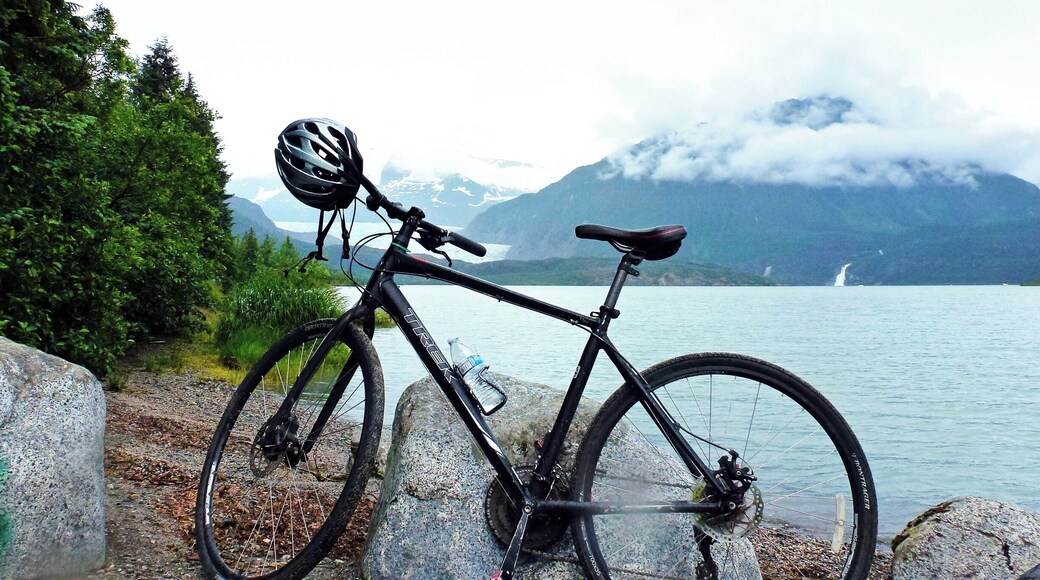 Cycling by Mendenhall Lake with Mendenhall Glacier & Nugget Falls in the background. Clouds low and a spot of rain in the air but this just added to the peace and quietness. What a joy!
#GreatOutdoors