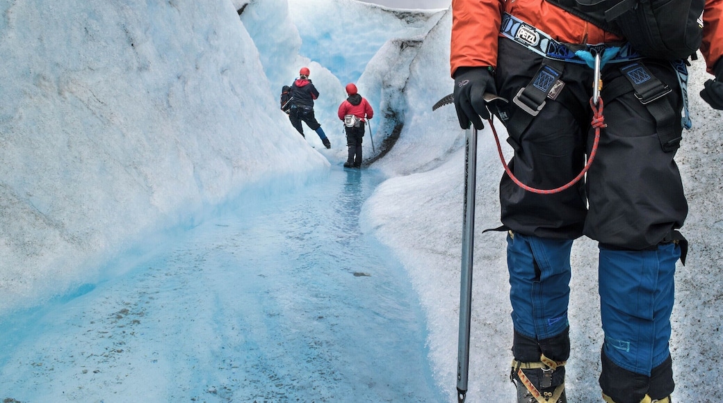Glacier Trek on the Mendenhall Glacier near Juneau Alaska. It's a heli excursion provided by most cruise lines. Pricey but worth every cent. The guides are knowledgeable and friendly and will make sure to have lifetime memories.
#BvSBlue