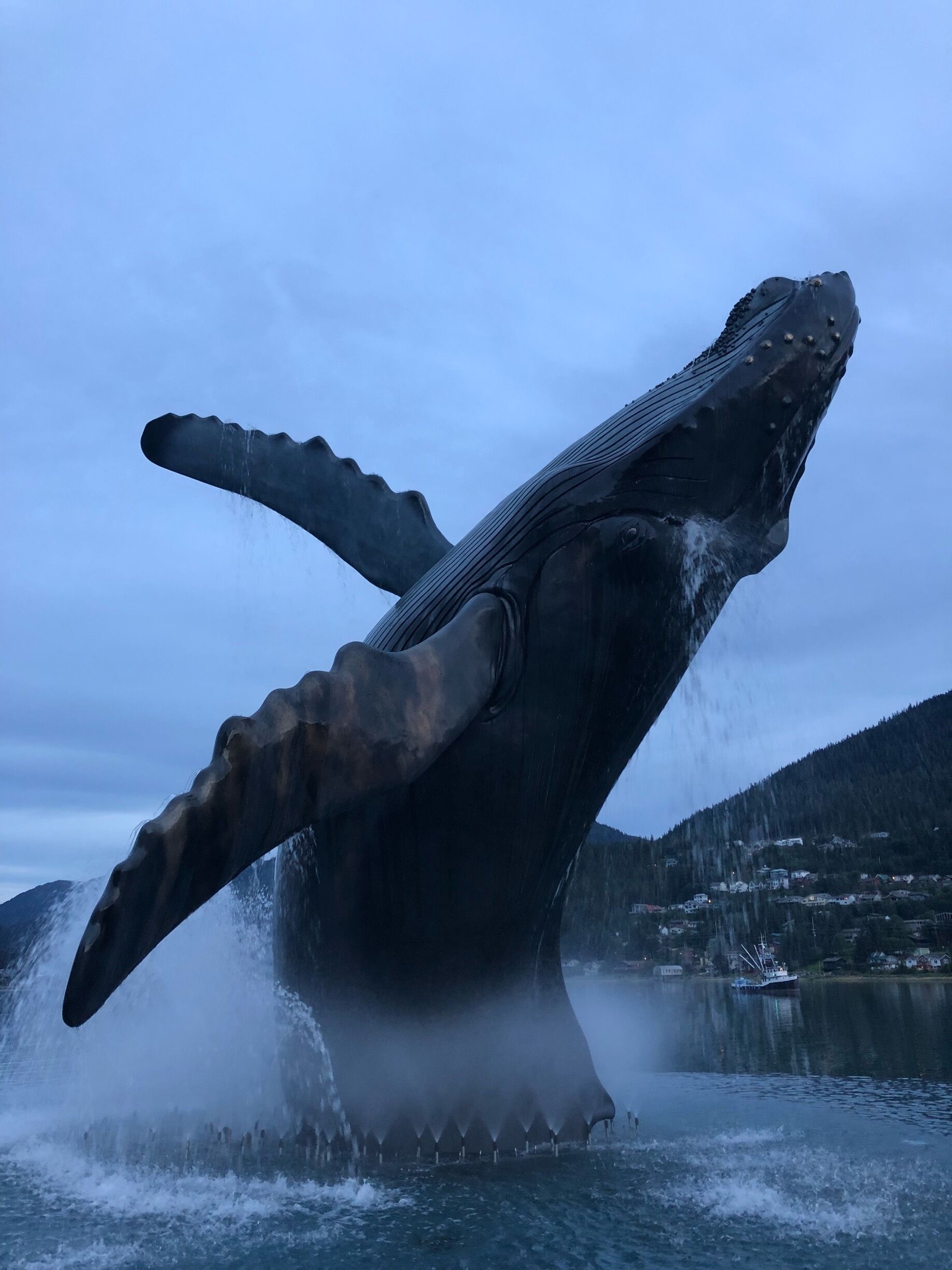 Whale statue with lights and fountain! Lights change color for the different Holidays. Right by the Douglas bridge and accessible by the Seawalk. Created in Oregon. 