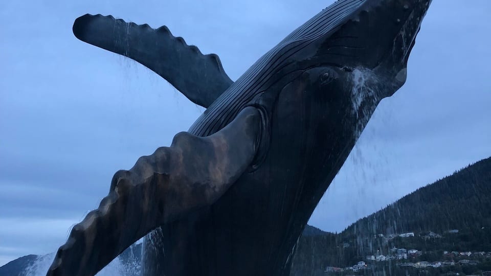 Whale statue with lights and fountain! Lights change color for the different Holidays. Right by the Douglas bridge and accessible by the Seawalk. Created in Oregon.