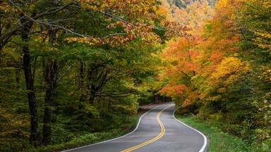 A country road with autumn coloured foliage on the trees, Green Mountains; Stowe, Vermont, United States of America