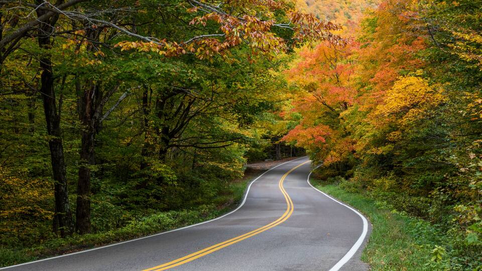 A winding road surrounded by autumn foliage.
