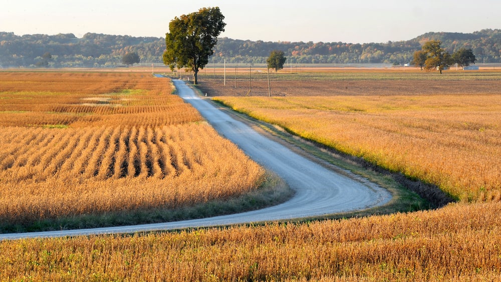 Country road through farmland, Midwest