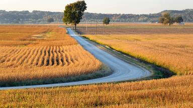 Country road through farmland, Midwest