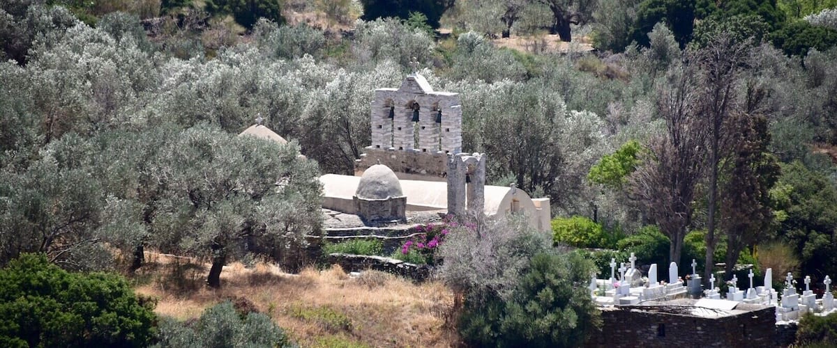 A church surrounded by olive trees and a cemetery.