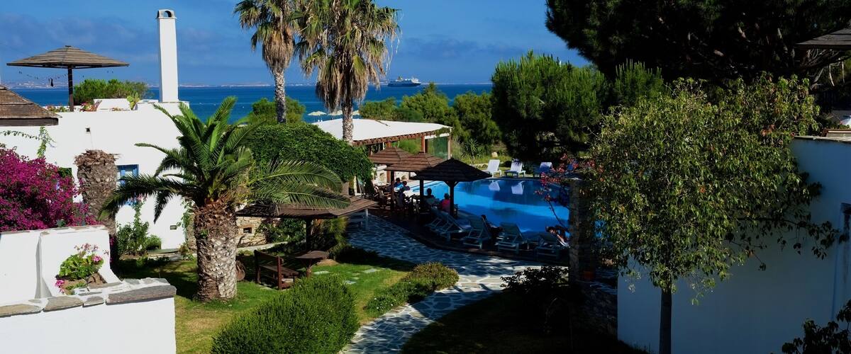 A pool area with lounge chairs, palm trees, and a view of the ocean.