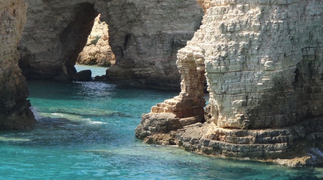 What an amazing day spent snorkelling around the islands in the 'small cyclades' in the Greek islands between Naxos & Paros