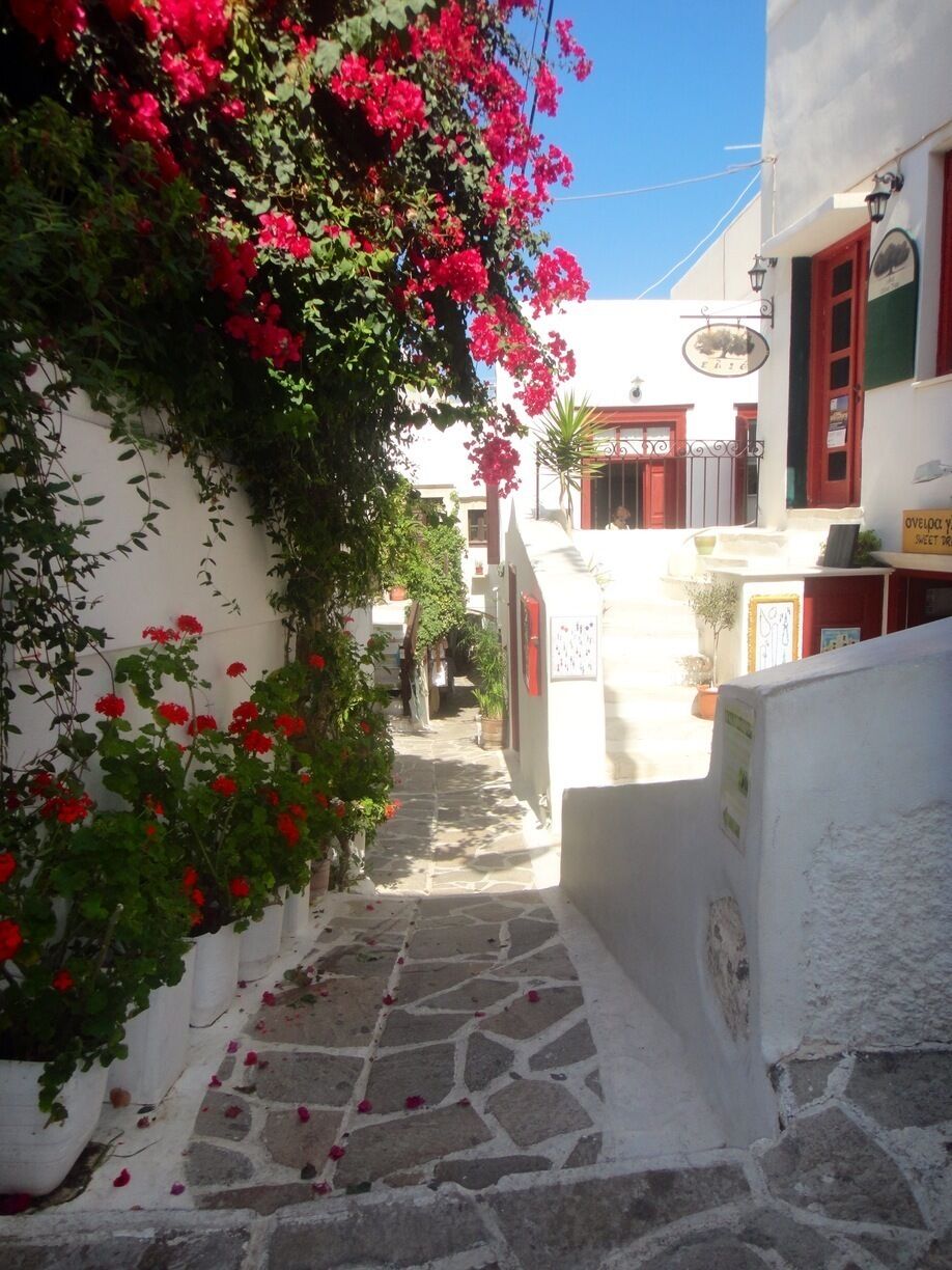 Una estrecha calle empedrada flanqueada por edificios blancos con detalles rojos y coloridas flores de buganvilla.