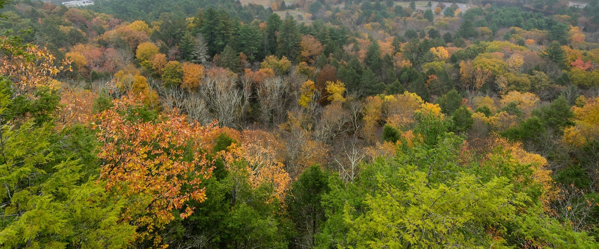A mountainous landscape with autumn foliage, a valley, and distant buildings.