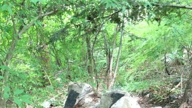 One of the allegedly creepiest places in Connecticut is Little People's Village, tucked away in the woods of Middlebury. A complex of crumbling doll-sized houses and odd structures next to the remains of a stone house, it's rumored to be the damned legacy of insanity brought on by . . . the little people.
#ghosttown #littlepeople #fairies #Connecticut