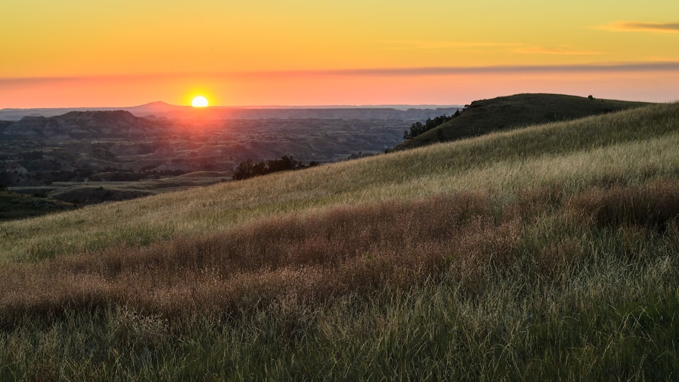A sunset over a grassy hill with a clear sky.