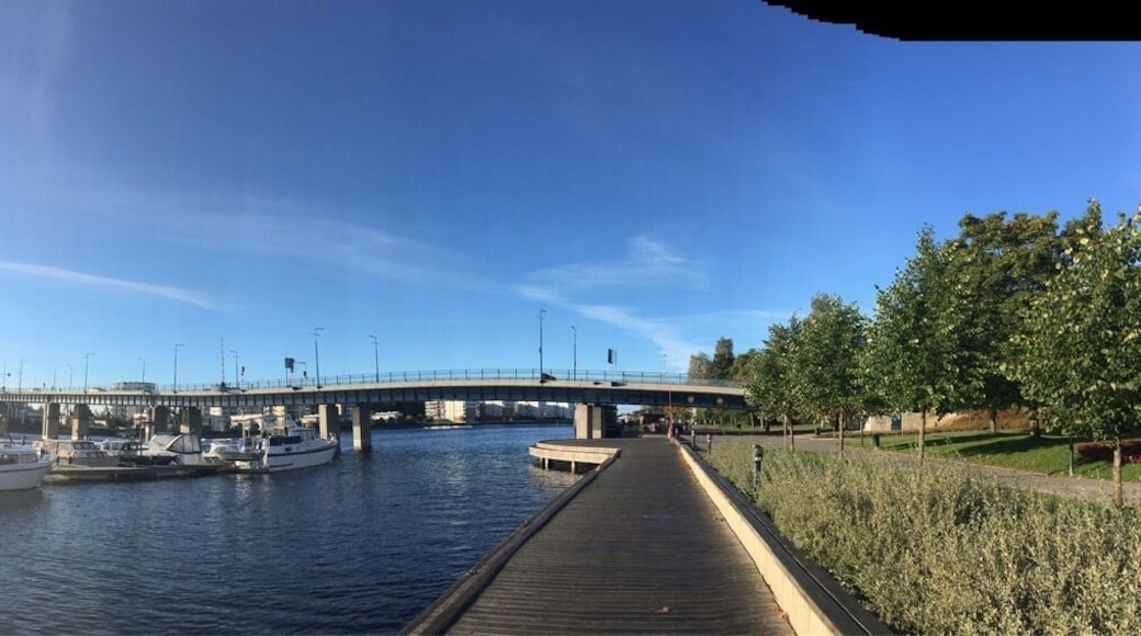 Vue de la rivière au matin