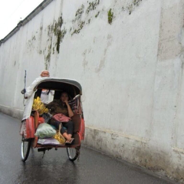 Transportation of... everything 