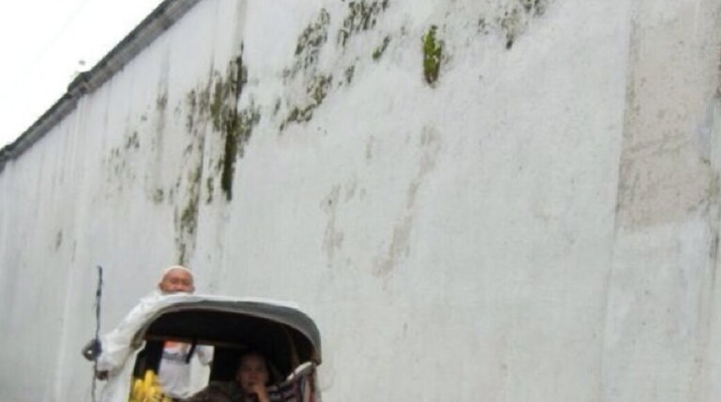 Transportation of... everything