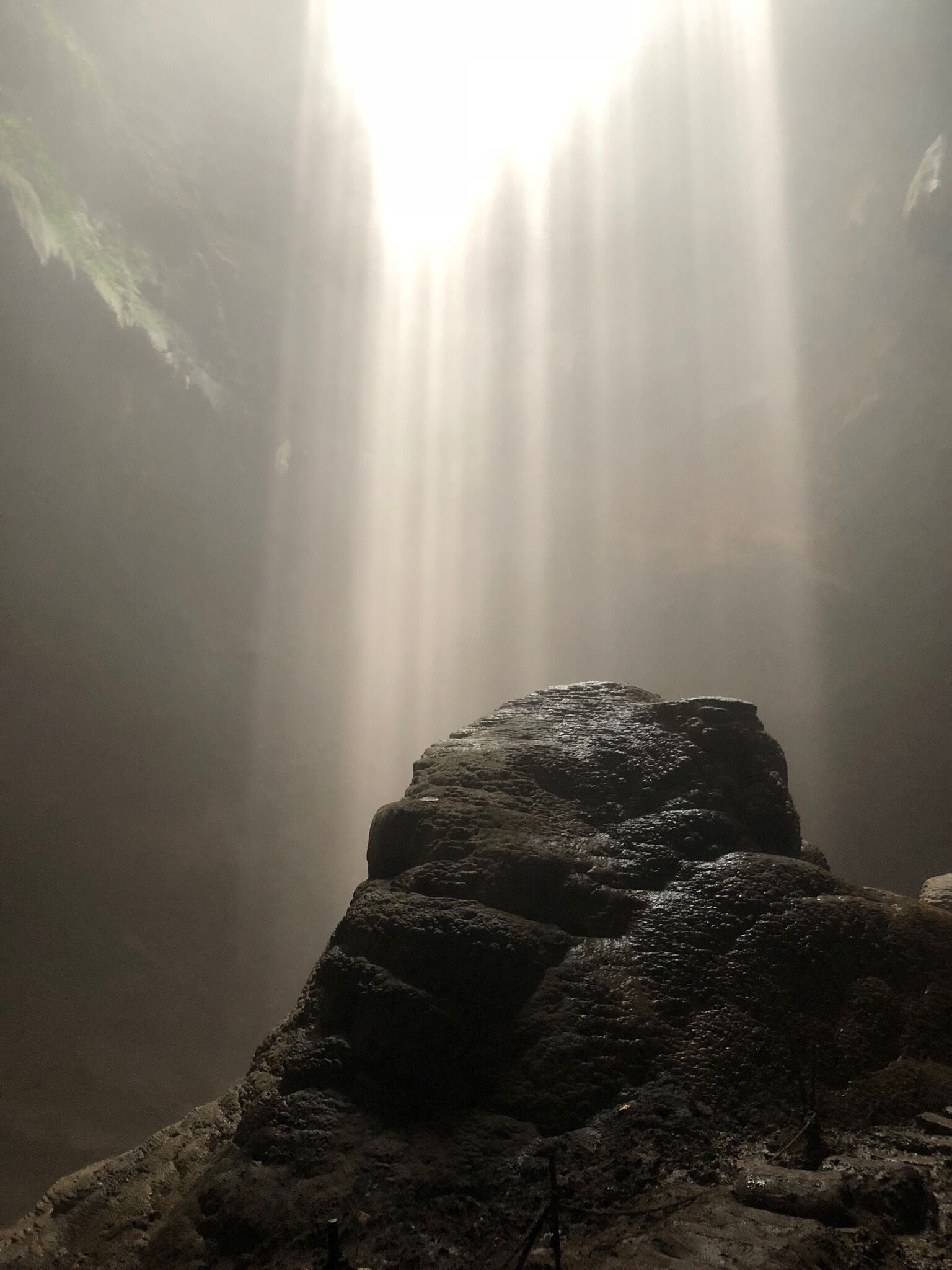 Trudging through mud in order to get this picture perfect, timed viewing of the Heavenly Light through the hole in the cave #jomblang #cave #light #lifeatexpedia #indonesia