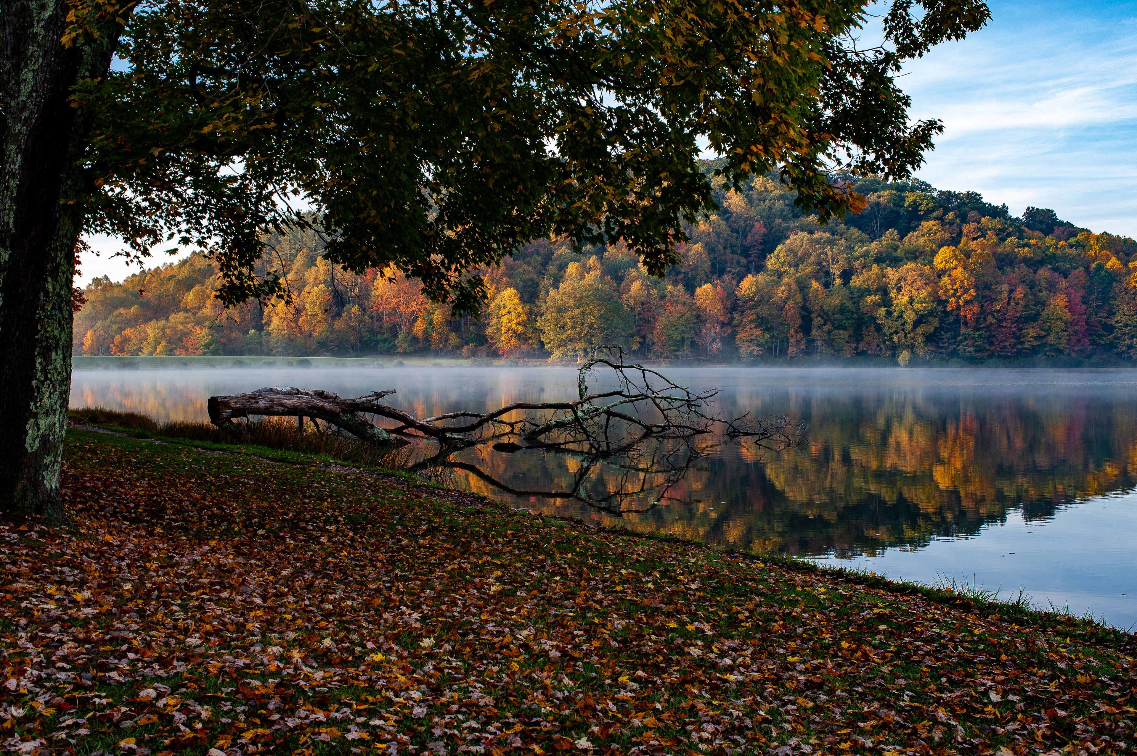 A lake surrounded by autumn-colored trees, a fallen tree in the foreground, and a misty reflection on the water.