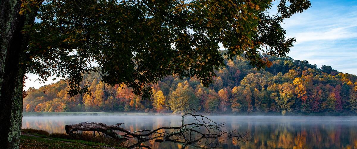 A lake surrounded by autumn-colored trees, a fallen tree in the foreground, and a misty reflection on the water.
