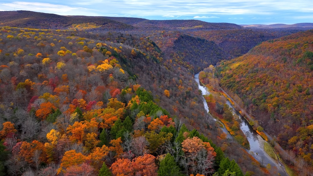 Pennsylvania Grand Canyon Mountains in Autumn Fall Colors, orange and reds with gentle flowing Pine creek in valley below with hiking, biking trail for exercise and relaxing in the nature outdoors