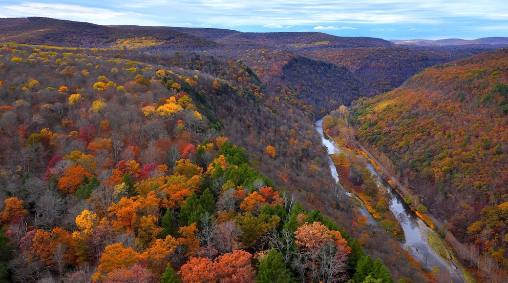 Pennsylvania Grand Canyon Mountains in Autumn Fall Colors, orange and reds with gentle flowing Pine creek in valley below with hiking, biking trail for exercise and relaxing in the nature outdoors