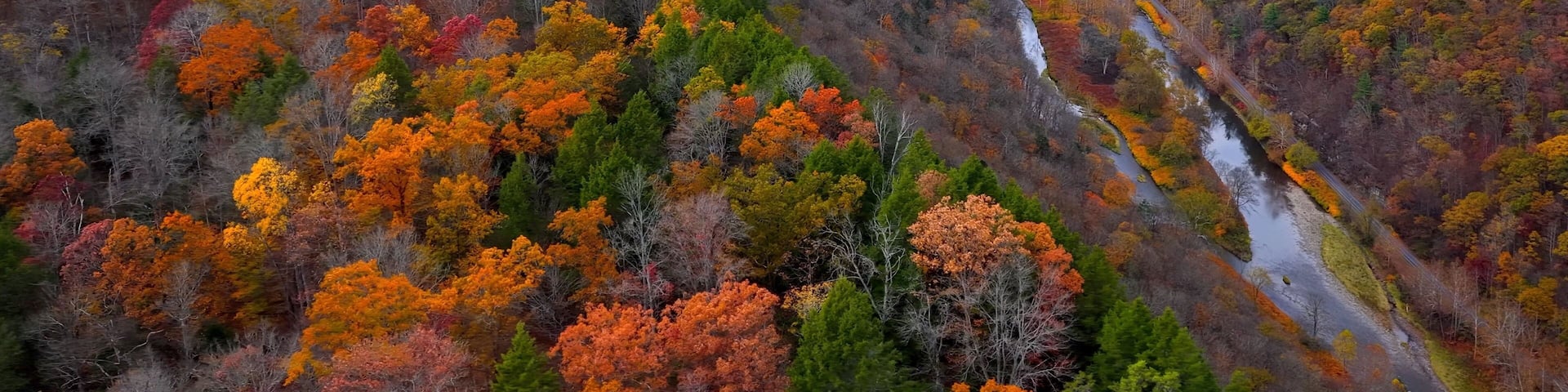Pennsylvania Grand Canyon Mountains in Autumn Fall Colors, orange and reds with gentle flowing Pine creek in valley below with hiking, biking trail for exercise and relaxing in the nature outdoors