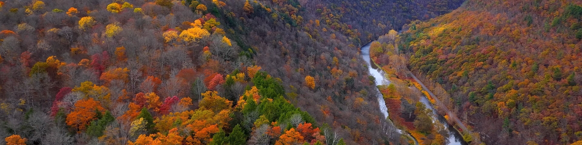 Pennsylvania Grand Canyon Mountains in Autumn Fall Colors, orange and reds with gentle flowing Pine creek in valley below with hiking, biking trail for exercise and relaxing in the nature outdoors