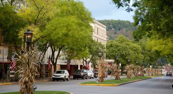 Wellsboro which includes a small town or village