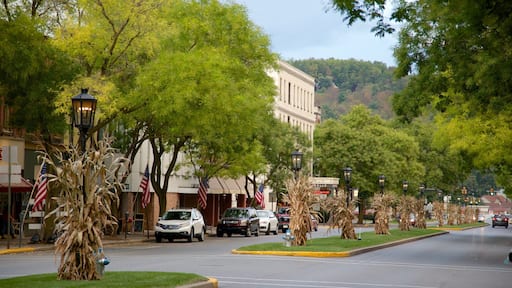 Wellsboro featuring a small town or village