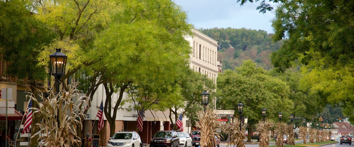 A street lined with trees and parked cars, with a building in the background.