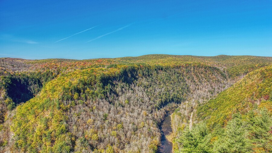 PA Grand Canyon Fall Foliage. Also a great overlook through all seasons