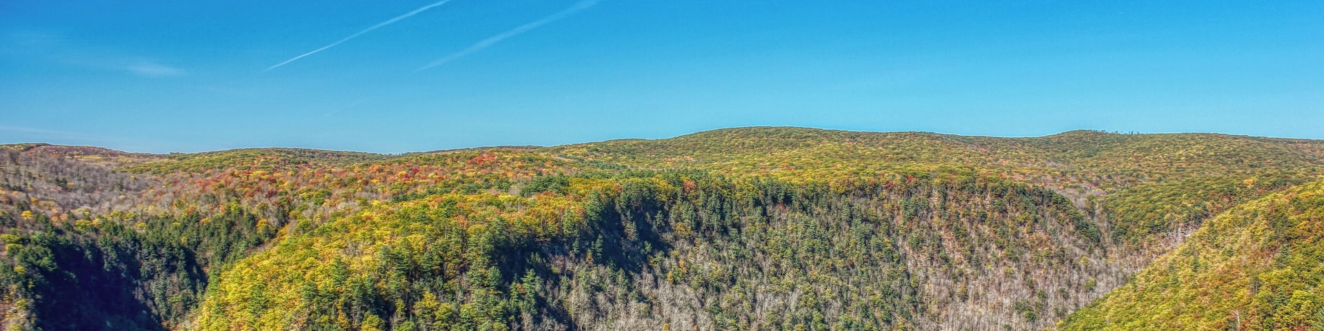 PA Grand Canyon Fall Foliage. Also a great overlook through all seasons