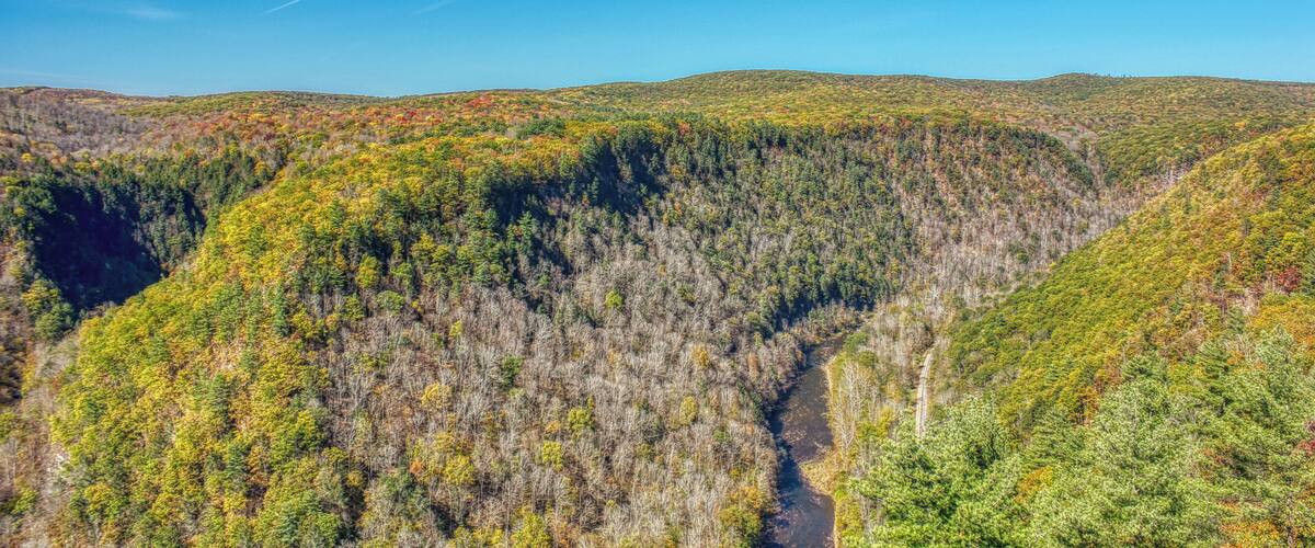 PA Grand Canyon Fall Foliage. Also a great overlook through all seasons