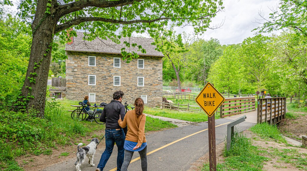 Rock Creek Park mit Spaziergängern und Fahrradfahrer in Washington D.C.