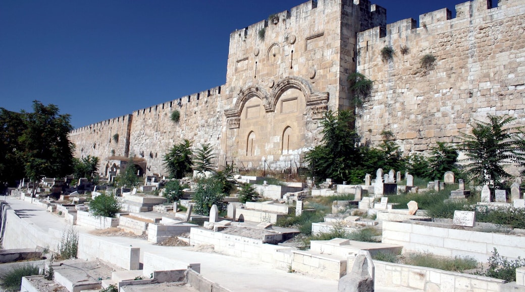 This history of the city of Jerusalem has captivated the world for thousands of years. The history of this one gate is compelling.