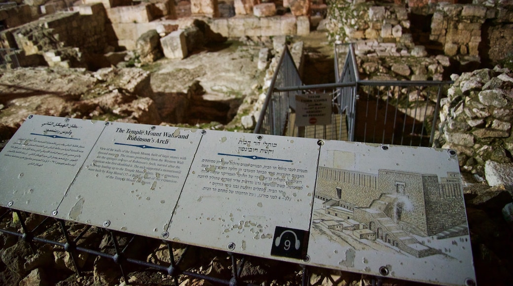 UNESCO World Heritage Site: Jerusalem Old City
This is a must see site near the famous Western Wall and Temple Mount in the Old City of Jerusalem. An amazing view of the ancient ruin dating back the time of King Herod (3-74 BCE).
#Israel #Jerusalem #OldCity #WesternWall #AncientSite #ruin #History photo contest #UNESCOWorldHeritageSite