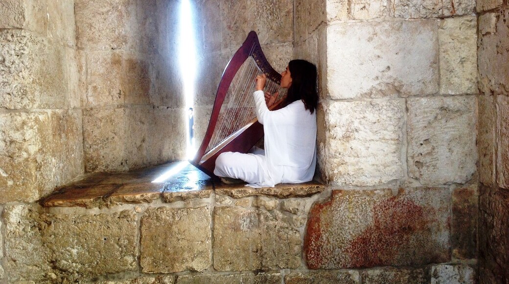 Just inside the Jaffa Gate to Old Jerusalem, I encountered this young lady playing a harp. It was heavenly!