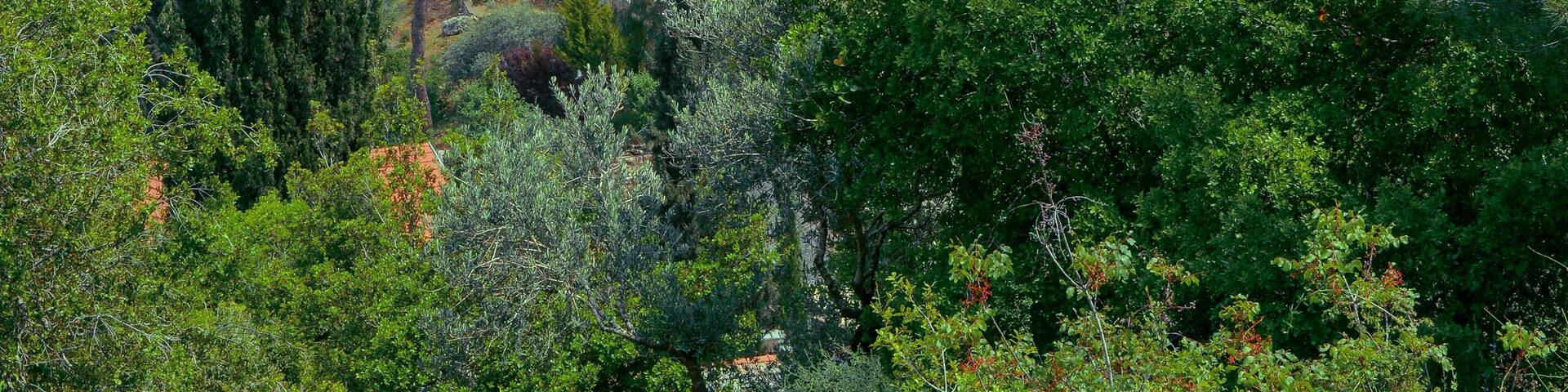 Gorny Convent at Ein Kerem
