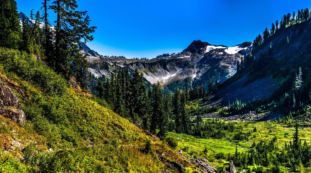 Beautiful wide shoot of snowy peak along the trail towards Mount Baker, Washington, USA. Whatcom county.