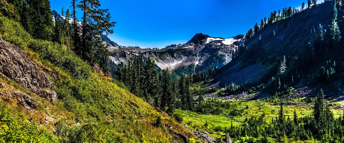 A mountainous landscape with a valley, dense forests, and a prominent peak with snow.