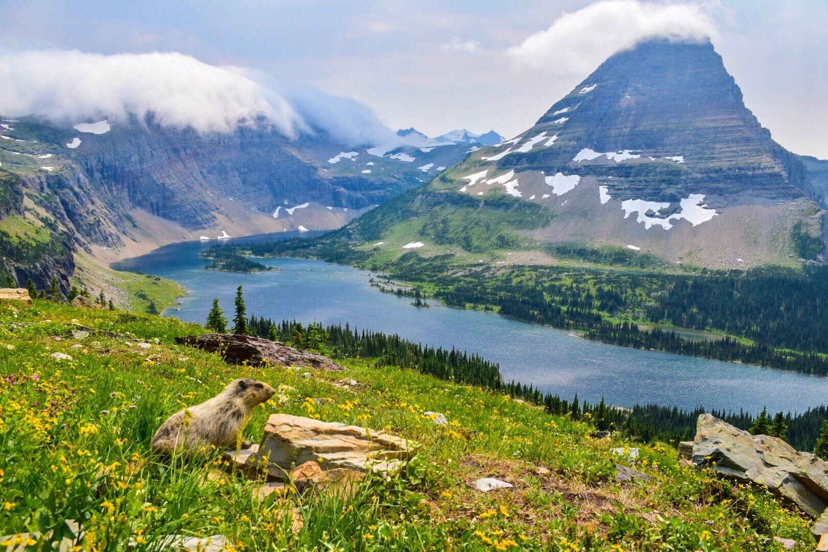 Marmot friend and beautiful lake! #glacier #nationalpark #hiddenlake #takeahike #hike #outdoors #nature #beautiful #lake 