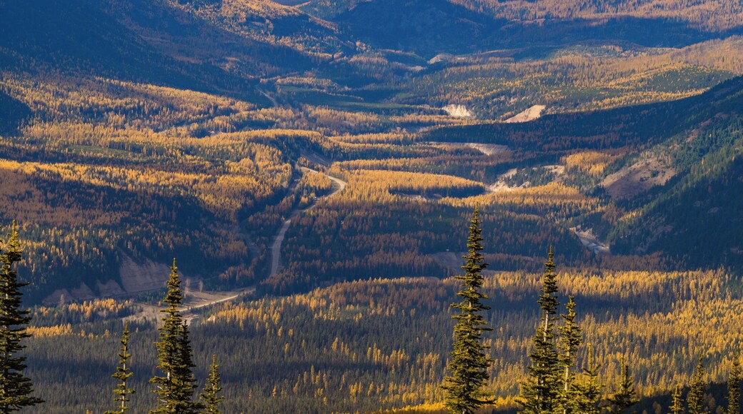 long uphill hike will reward you with a great view. and don't forget to stop at the Izaak Walton Inn for a snack!