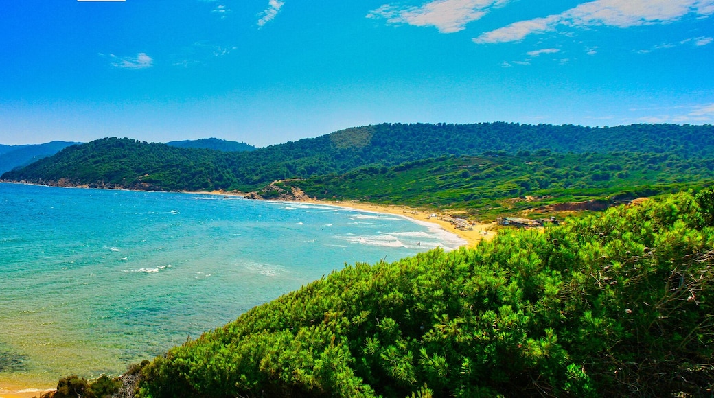 Panorama of Agia Eleni Beach in Skiathos, Greece