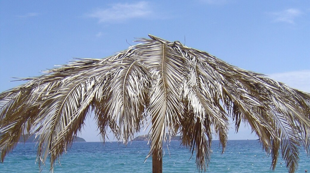 Achladias beach, Skiathos island - one of the most beautiful Greece islands
#BVSBlue #blue
